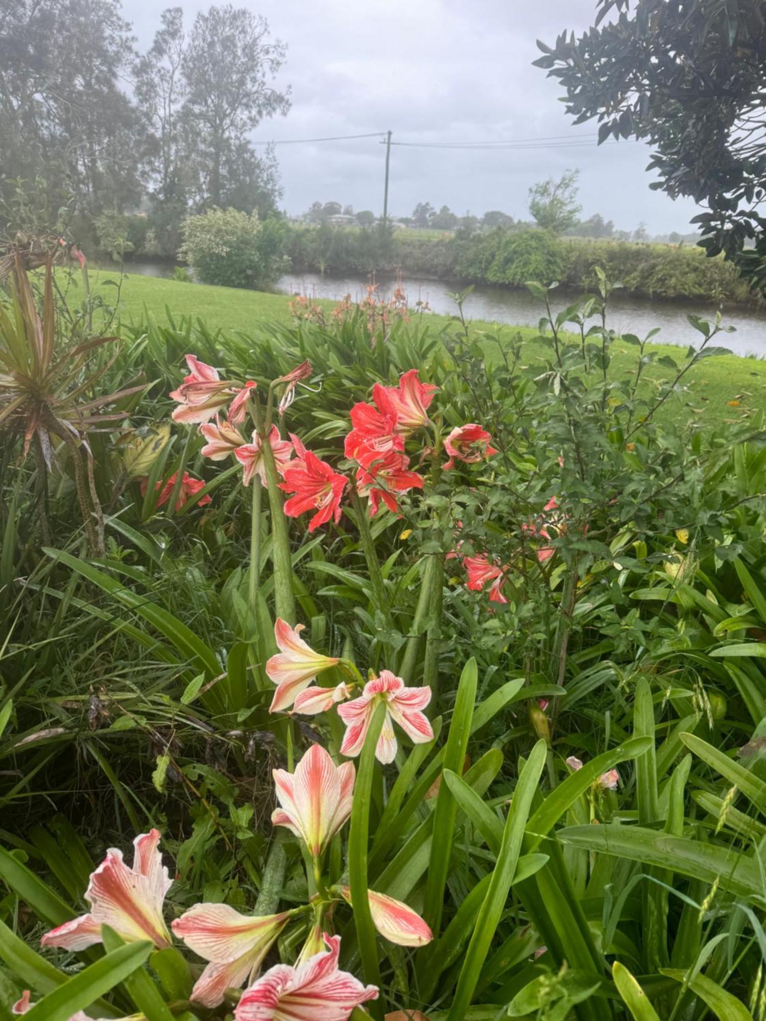 Bird Song Farm Hotel Hat Head Luaran gambar